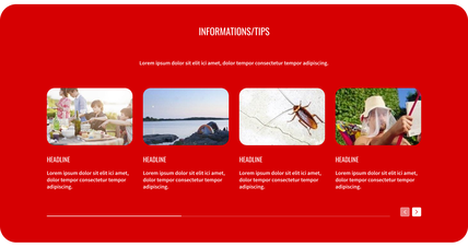 The same informations/tips section themed in red